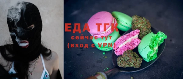 шишки Абаза