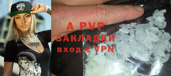 шишки Абаза