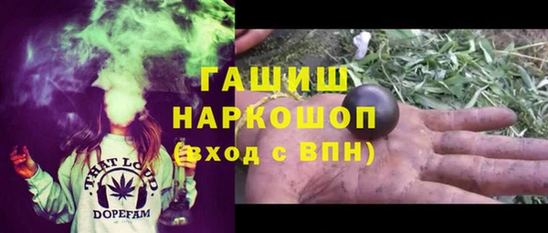 шишки Абаза