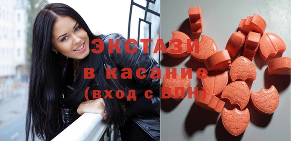 шишки Абаза