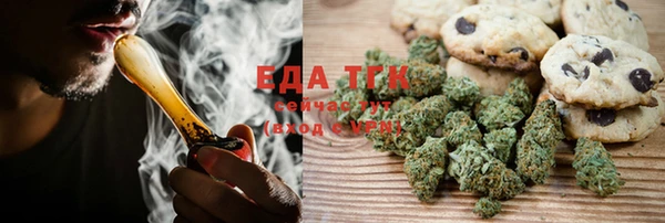 шишки Абаза