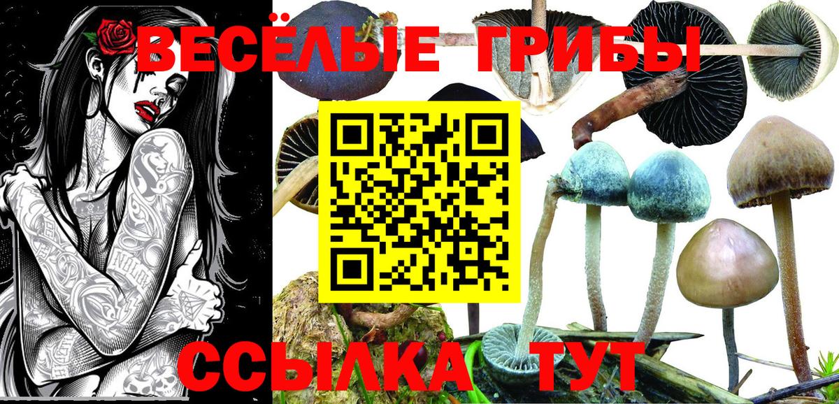 Псилоцибиновые грибы ЛСД Альметьевск